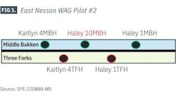 FIG 1. East Nesson WAG Pilot #2 FIG 1. East Nesson WAG Pilot #2