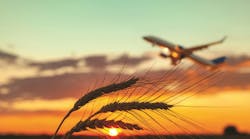 shutterstock_2499941695 shutterstock_2499941695