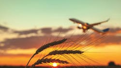 67ec5378d1048b34dca548ff Shutterstock 2499941695 67ec5378d1048b34dca548ff Shutterstock 2499941695