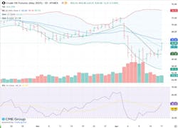 Crude oil futures (May 2025) Crude oil futures (May 2025)
