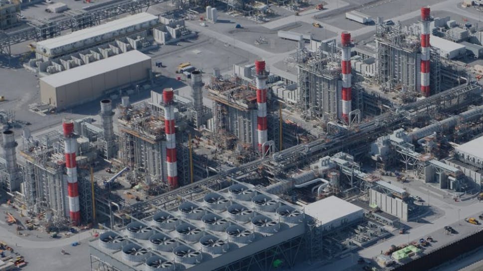 68237d13c13b498594e562a6 Vg Plant 1