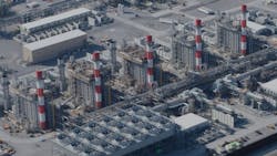 68237d13c13b498594e562a6 Vg Plant 1 68237d13c13b498594e562a6 Vg Plant 1