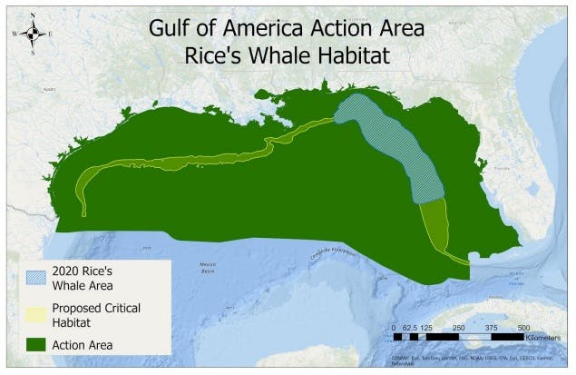 Rice's whale habitat action area