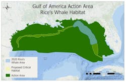 Rice's whale habitat action area Rice's whale habitat action area