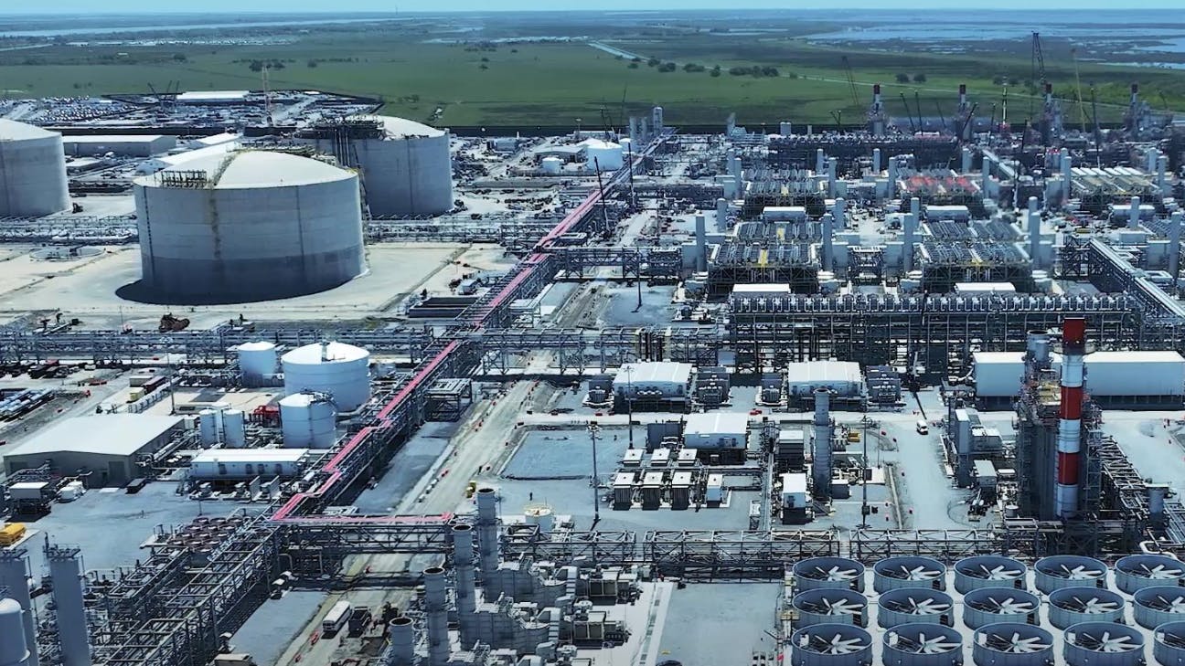 689cc6883dca5b3d1681b469 Vg Plant 3