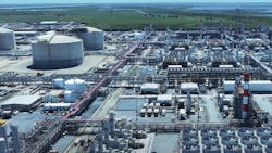 689cc6883dca5b3d1681b469 Vg Plant 3 689cc6883dca5b3d1681b469 Vg Plant 3