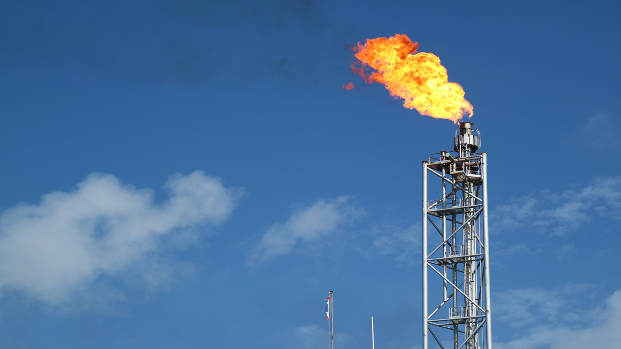 68e7a9e695d52ab7496db7bd 5106039489421761 Shutterstock 5404064201