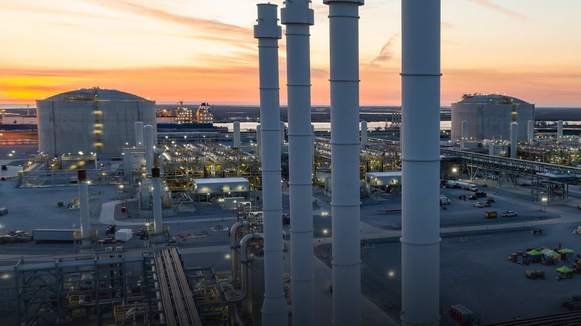 69124319a739843de1e910ca Vg Plant 4