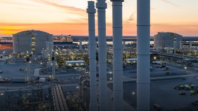 69124319a739843de1e910ca Vg Plant 4