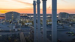 69124319a739843de1e910ca Vg Plant 4 69124319a739843de1e910ca Vg Plant 4