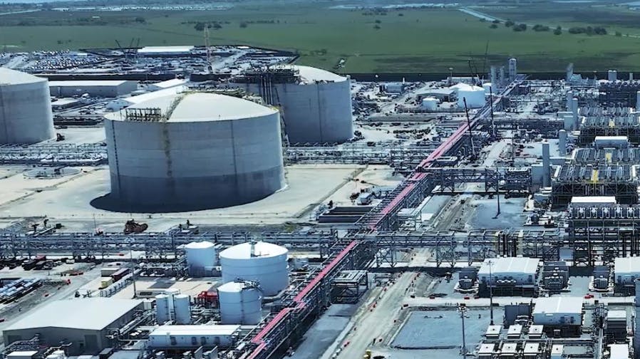 69724cc645a8755ee6e90f2c Vg Plant 3