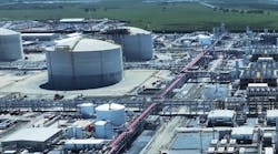 vg_plant_3 vg_plant_3