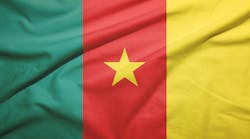Cameroon flag with fabric texture Cameroon flag with fabric texture