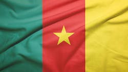 Cameroon flag with fabric texture Cameroon flag with fabric texture