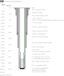 Newberry 55-29 schematic (Fig. 3) Newberry 55-29 schematic (Fig. 3)