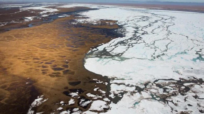 Aerial view of the coastal plain of Arctic National Wildlife Refuge, Alaska