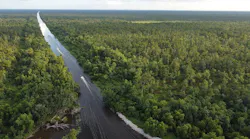 Louisiana's Maurepas Swamp Wildlife Management Area