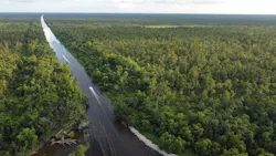 Louisiana's Maurepas Swamp Wildlife Management Area
