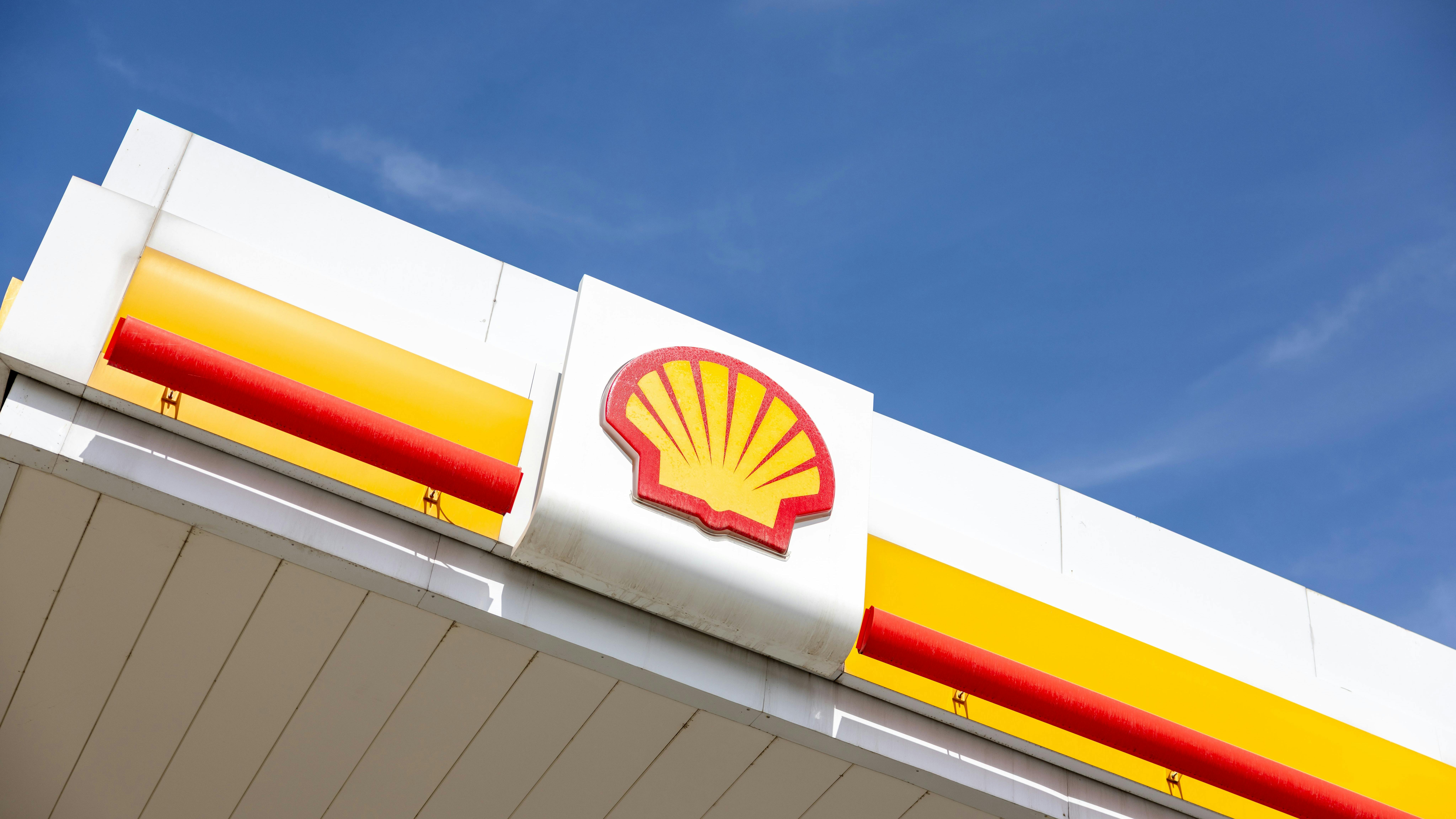 Shell canopy