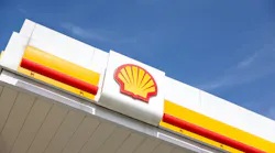 Shell canopy