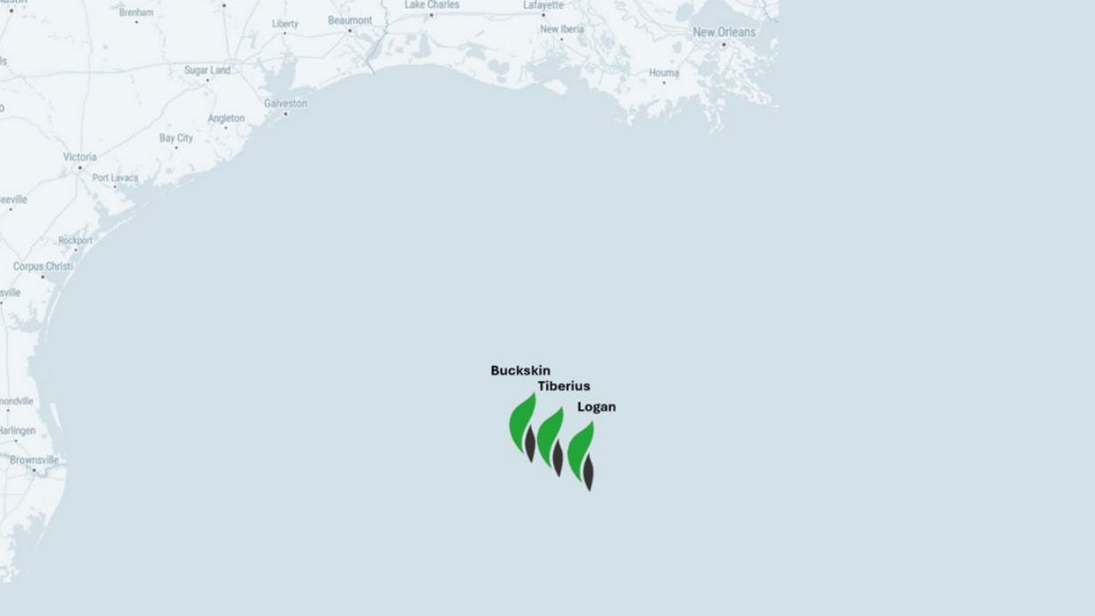 Tiberius and Logan oil discoveries in the US Gulf of Mexico.