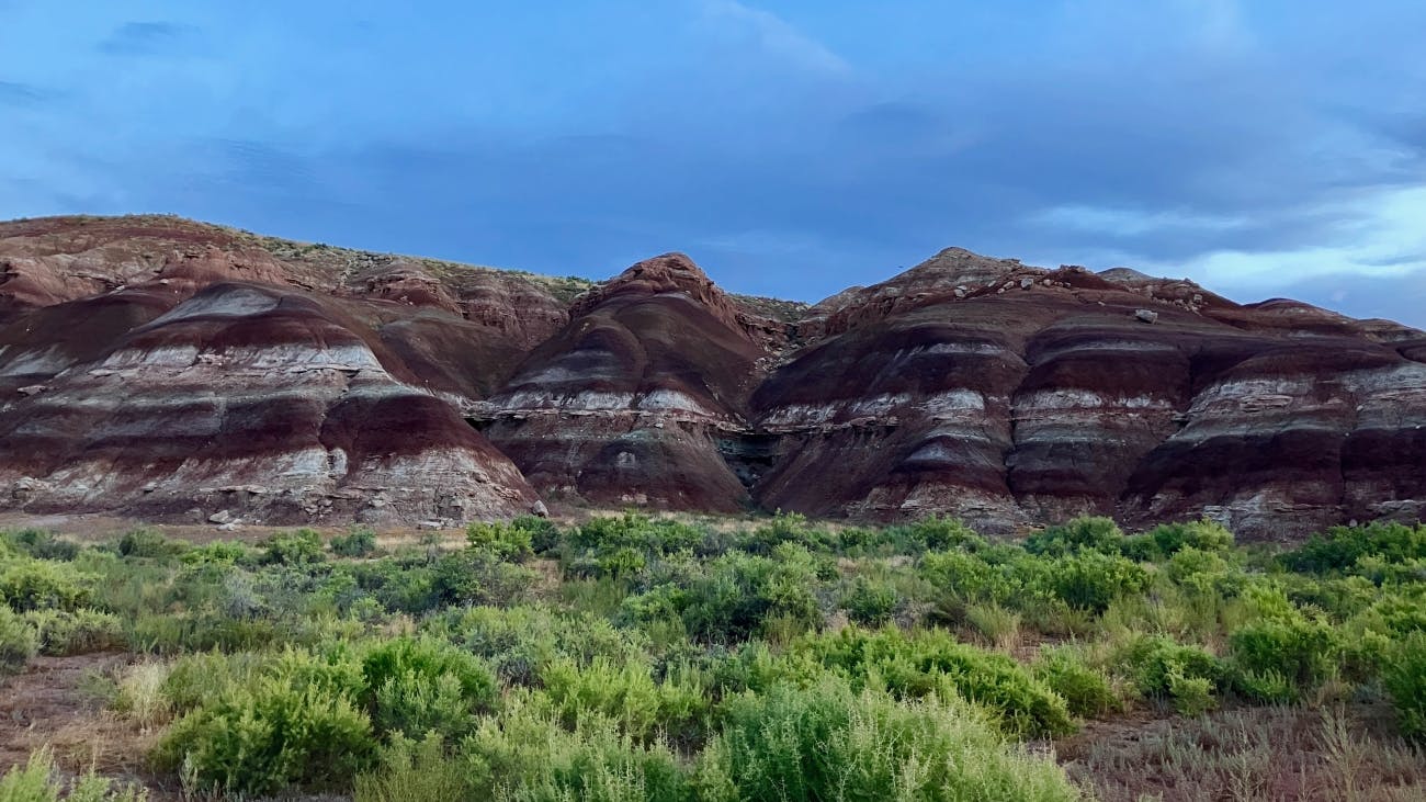 Clay bluffs on Ouray NWR,