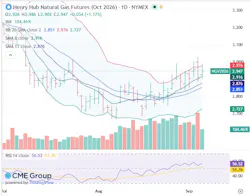 Henry Hub natural gas futures