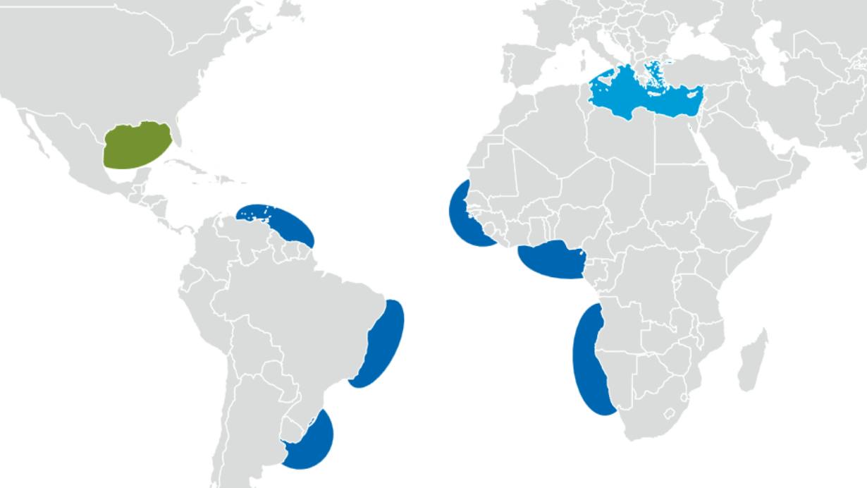 Grey map with the Gulf of Mexico, the South Atlantic Margin, and the Eastern Mediterranean highlighted in green and blue indicating where Chevron plans to explore in 2027